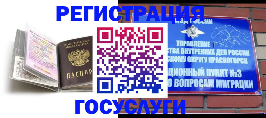 регистрация через Госуслуги в Будённовске